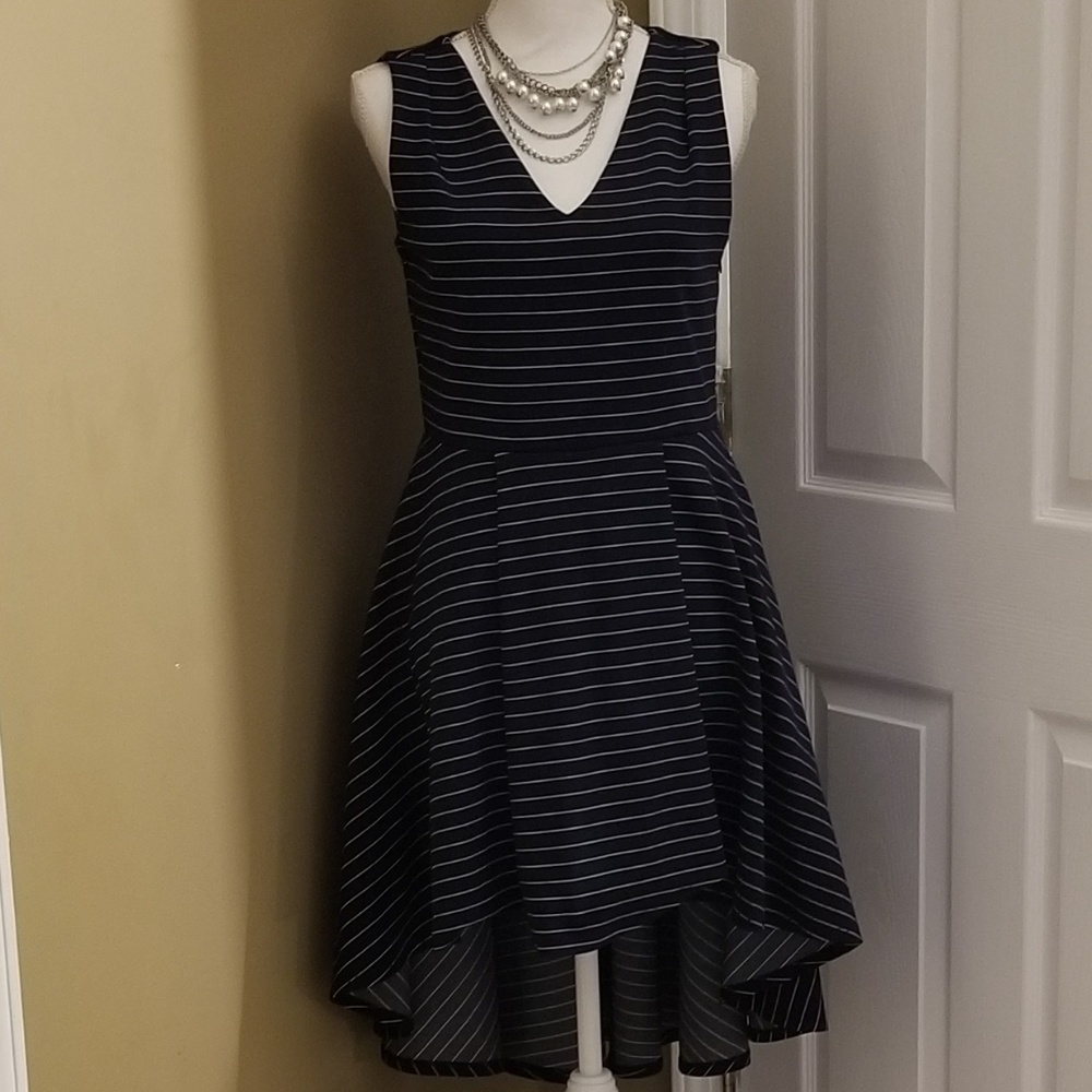 NWT Blue Striped Tahari Dress